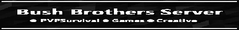 BushBrothers Server