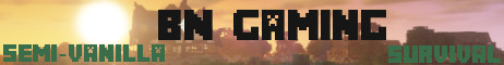 BN Gaming