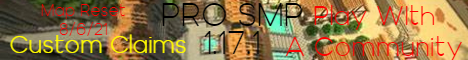 Pro SMP