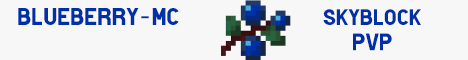 BlueBerryMC