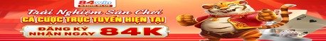 84win - Nhà cái trực tuyến uy tín, nạp rút nhanh