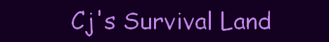 Cj's Survival Land