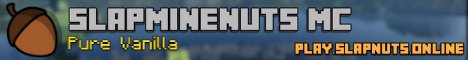 SlapMineNuts